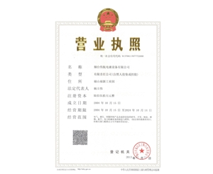 營(yíng)業(yè)執(zhí)照